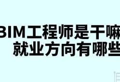 bim分专业吗?,bim工程师是否有分专业