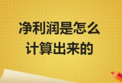 投资利润率投资利润率属于什么指标