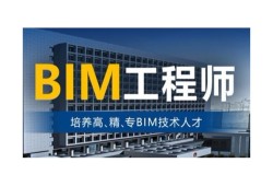 有bim工程师这个职业吗,有bim工程师这个职业吗女生