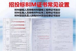 包含津南bim教育类工程师的词条