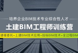 bim工程师需要会的软件,bim专业工程师需要什么资历