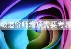 一级造价师增项需要考哪些