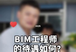 BIM实施服务工程师,bim实施服务工程师是干嘛的