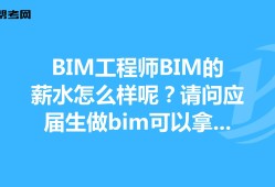 关于市政bim工程师上岗可以用吗的信息