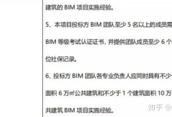 bim工程师投标可以加分吗招标bim工程师