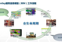 bim工程师的发展前景的简单介绍