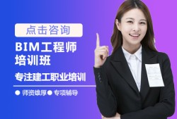 做bim工程师学什么,做bim工程师学什么专业