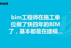 BIM工程师是评审的吗的简单介绍