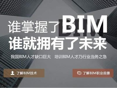 搬砖型bim工程师怎么样搬砖型bim工程师