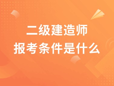 哪些专业能报考
的简单介绍