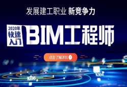 关于bim工程师一月多少钱收入的信息