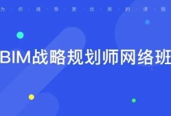 bim战略工程师是干什么的,bim入库骗局