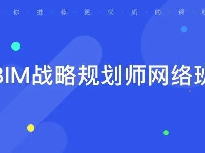 bim战略工程师是干什么的,bim入库骗局