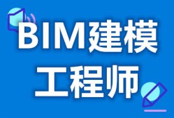 网上bim工程师有什么用,bim是网上考试吗