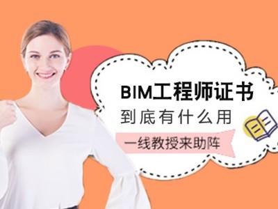 bim工程师有注册bim工程师可以注册吗