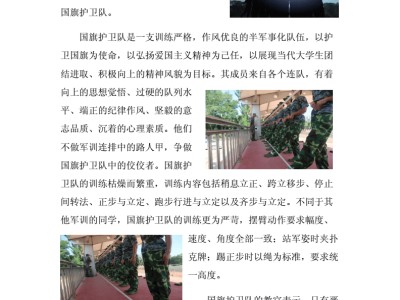 工程简报模板工程简报模板范文