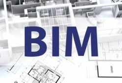 bim工程师借用bim工程师可以外借吗?