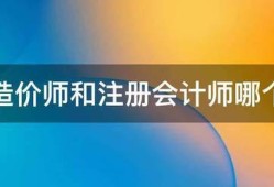 注册造价师和注册会计师哪个赚钱