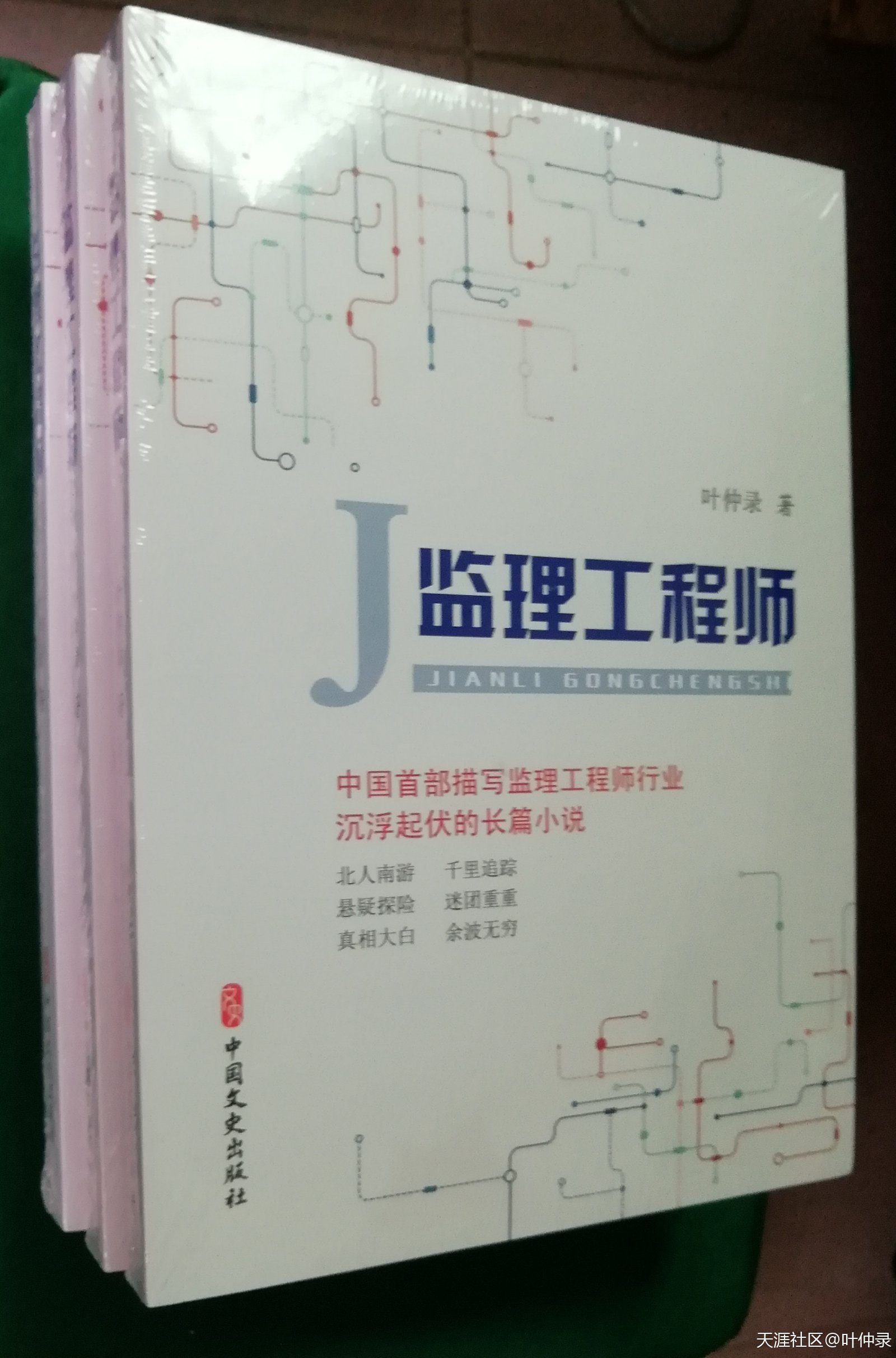 长篇纪实小说《
》里的国企和民企里的职员收益差异  第2张