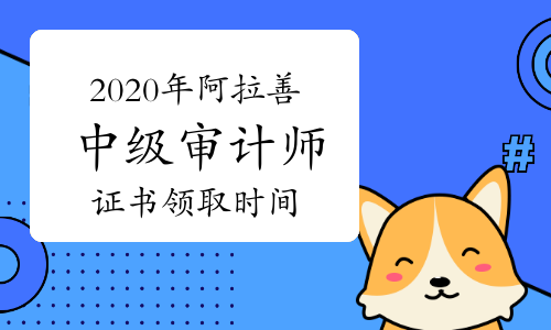 关于审计单位要不要造价工程师的信息  第1张