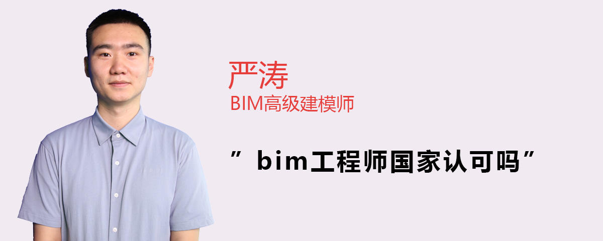 甘肃省工程类职称评审条件,甘肃工程师认可的bim  第1张