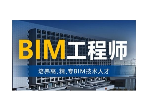 有bim工程师这个职业吗,有bim工程师这个职业吗女生  第1张