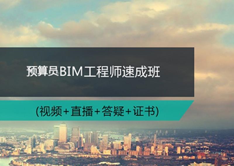 bim工程师最新bim工程师证书有什么用  第1张