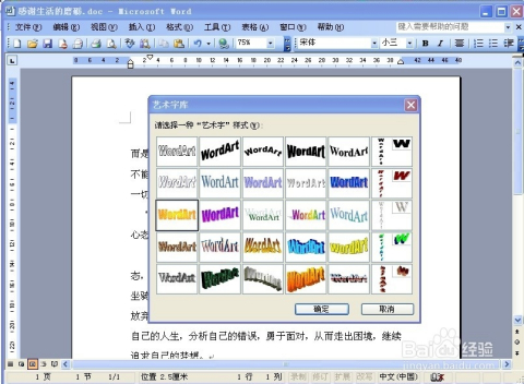 Word200,word2005  第2张